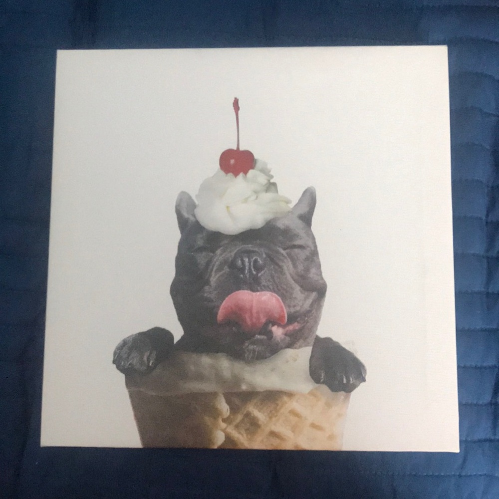 Boston Terrier Canvas Art